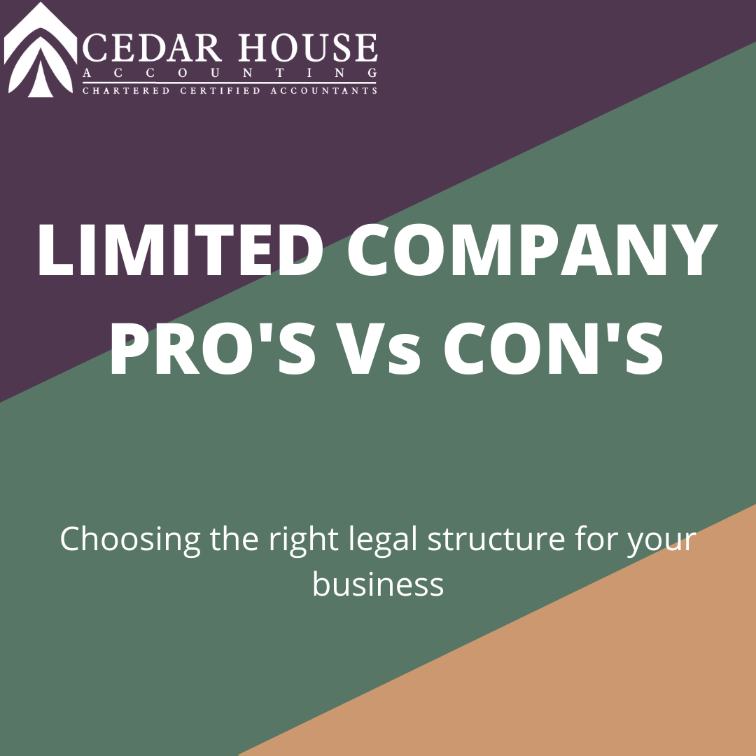 Limited company pros and cons